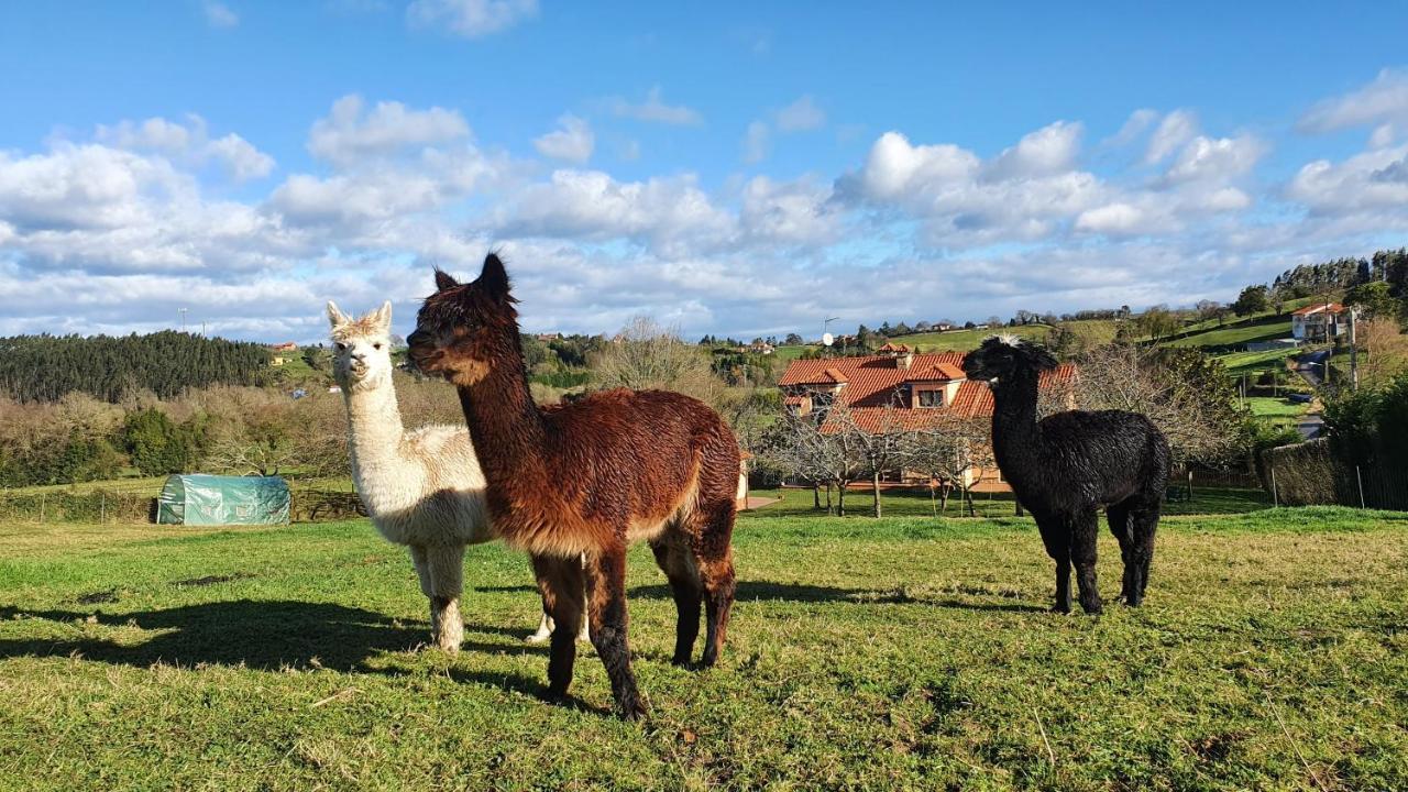 Hotel 3 Alpacas La Campa Exterior photo
